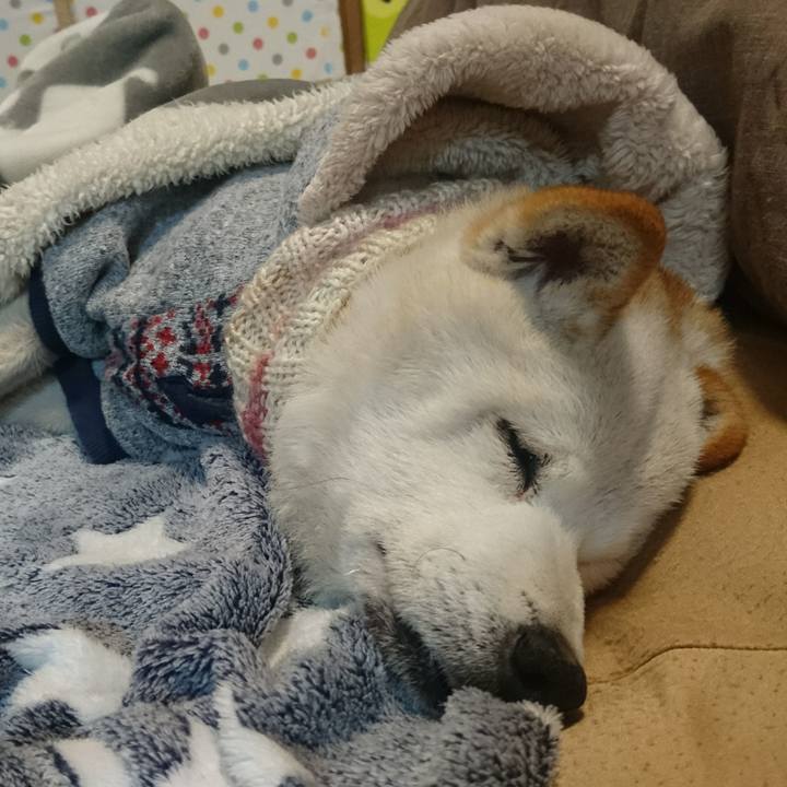 5cbc072e 072c 41ba aeff 52fbcc41c03d 1517048359010