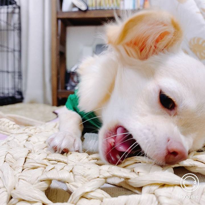 5cbc3d36 d748 4bc8 beaa f08e4cfbe314 1599271548254