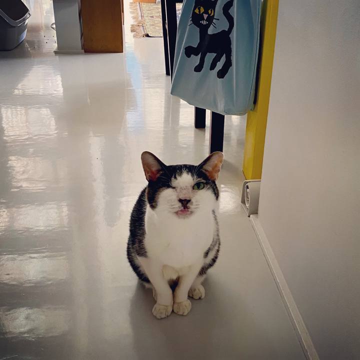 5cbc50a8 ec65 438f b351 1577897fce7e 1602392458891