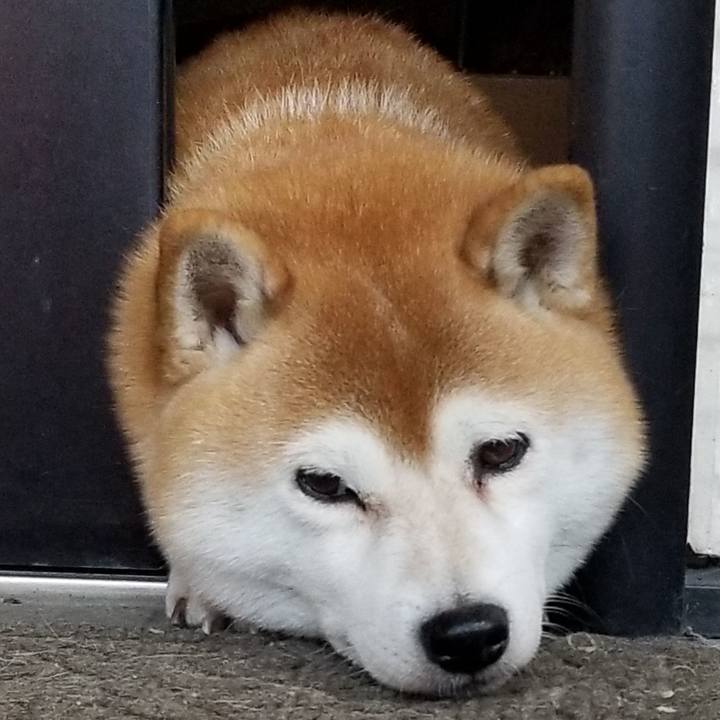 5cbc5ed1 12c7 494d 9e52 42221e802cb3 1604394851019