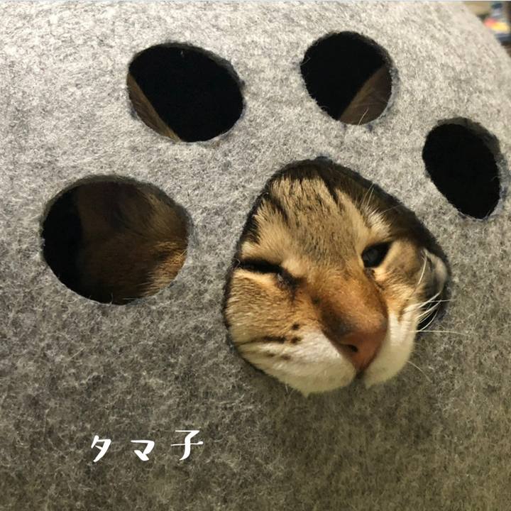 5cbc9c58 e492 497a ac9f 6da1d91502e9 1728274469438