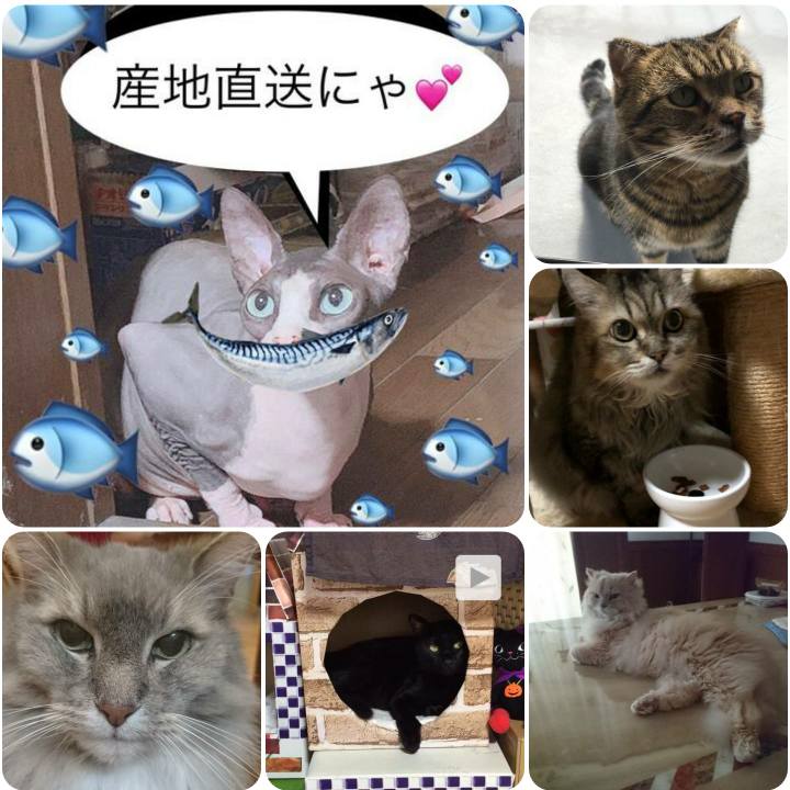 5cbca6cd 60b9 42be a482 ba873e14a719 1567651361104