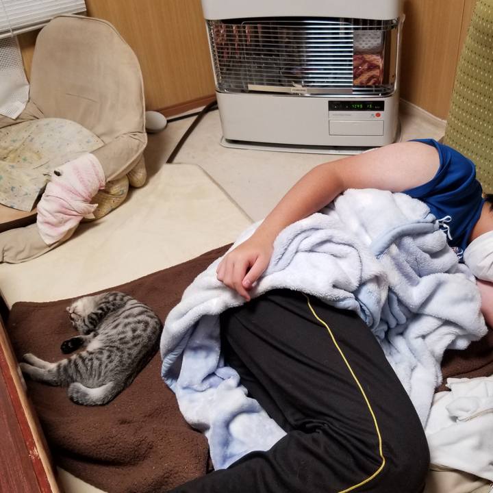 5cbcb702 834a 4c84 8385 8b877217c276 1669043227097