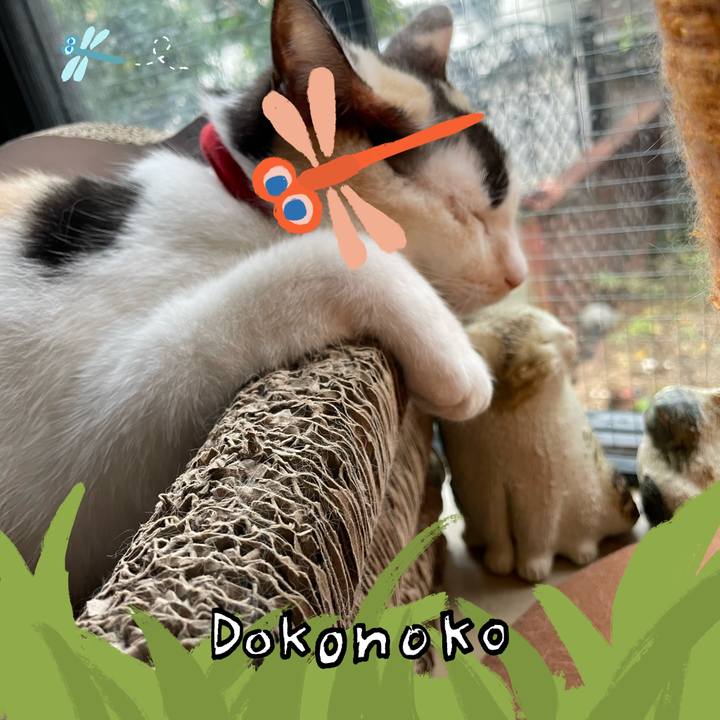 5cbce503 e681 4846 8edb 8f80e9ebcda1 1727073531889