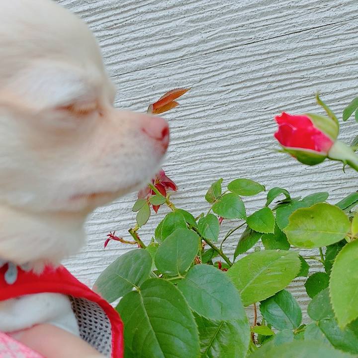 5cbd0023 2dec 49ec 9bf9 8dbbd8adc67a 1621486601527