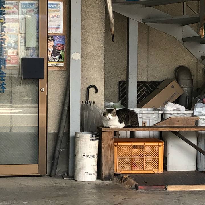 5cbd2b9f 3575 4af6 b697 235402759e1c 1623308262784