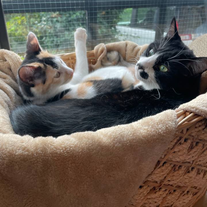 5cbd2e31 1b41 4d1c 9715 57e14fada561 1667259326730