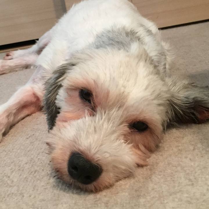 5cbdeaa2 f797 4787 aab6 fc8f7b0c7e68 1532753511132