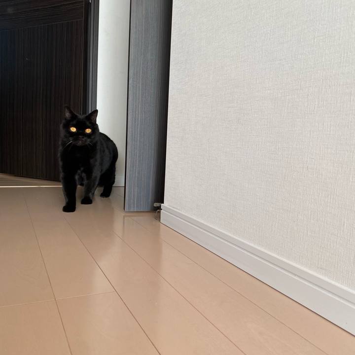 5cbdf649 694e 4899 a022 a9da92d8b144 1769910265367