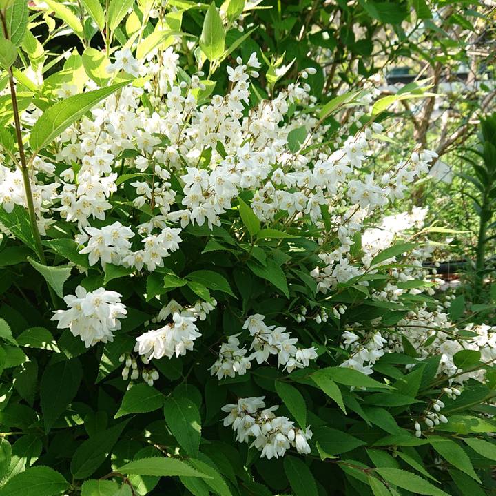 5cbe3450 e58f 4279 ae9b a9347a60f303 1555730927286