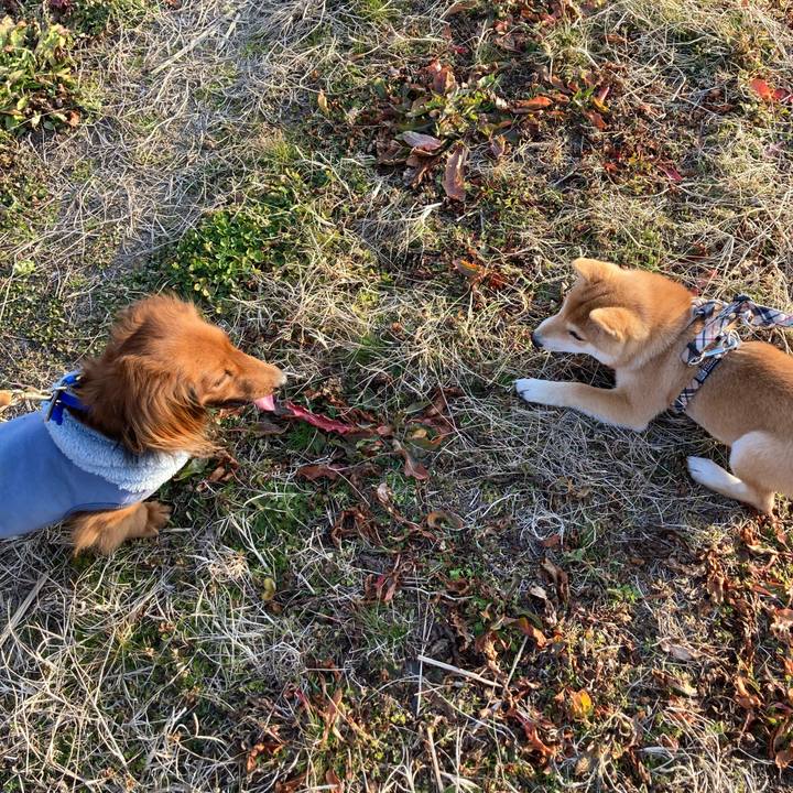 5cbe5969 da7c 423c 824c 9d61e745c208 1770463332843