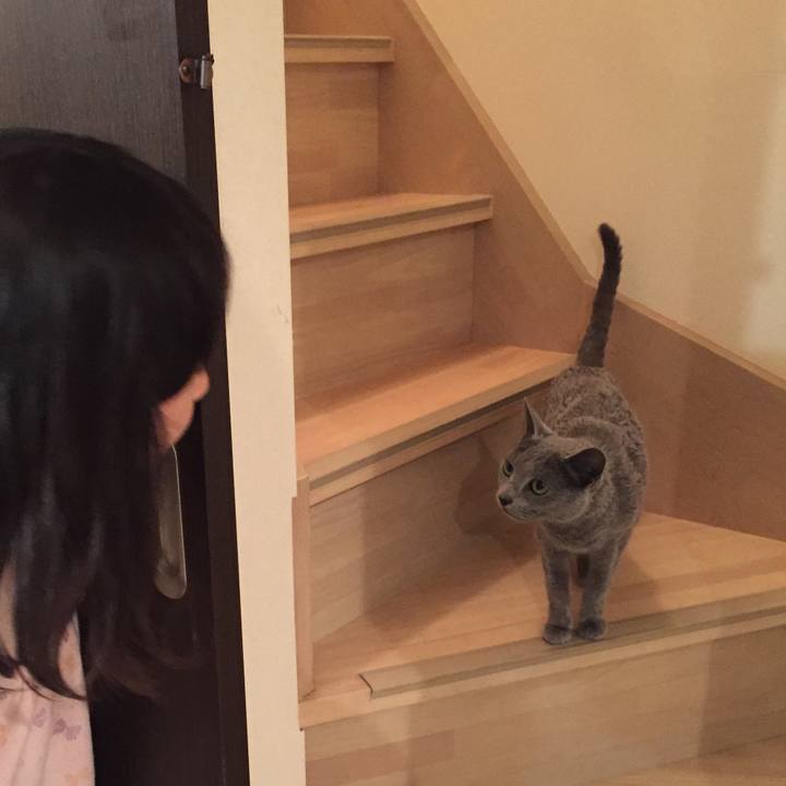 5cbe64f9 0b06 44ac 94a2 66c726323b9a 1520552169086