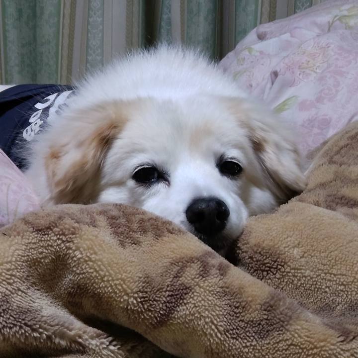 5cbe6834 7fc4 410e b2d4 40f383acba0c 1644181851093