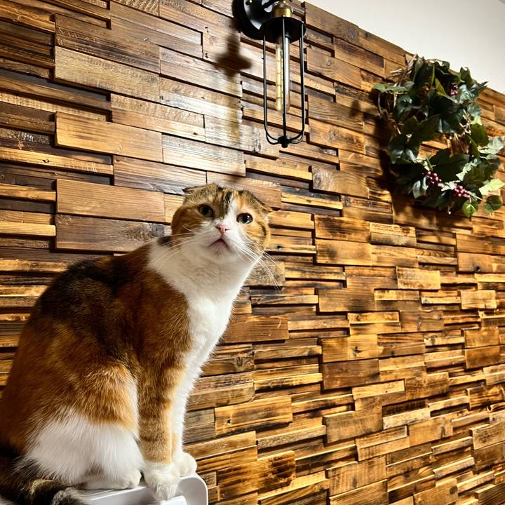 5cbe6f40 2007 4b9f b795 e66962c0eb9a 1702127523520