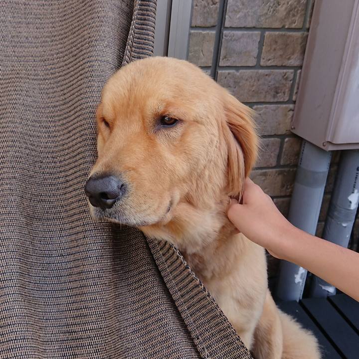 5cbea0d0 73d4 4380 afe2 c1c1ff7693f8 1537271719543