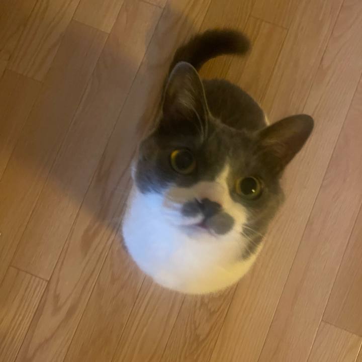 5cbed7e7 16d6 4ee5 9656 7811e09f8992 1749342530431