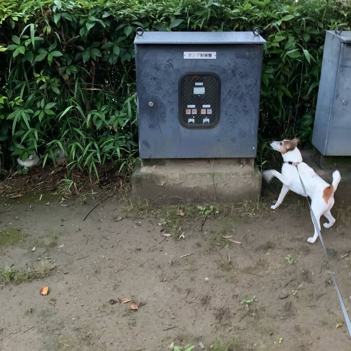 5cbefbb3 a3fb 4469 be8f 69d54607a711 1621427583639