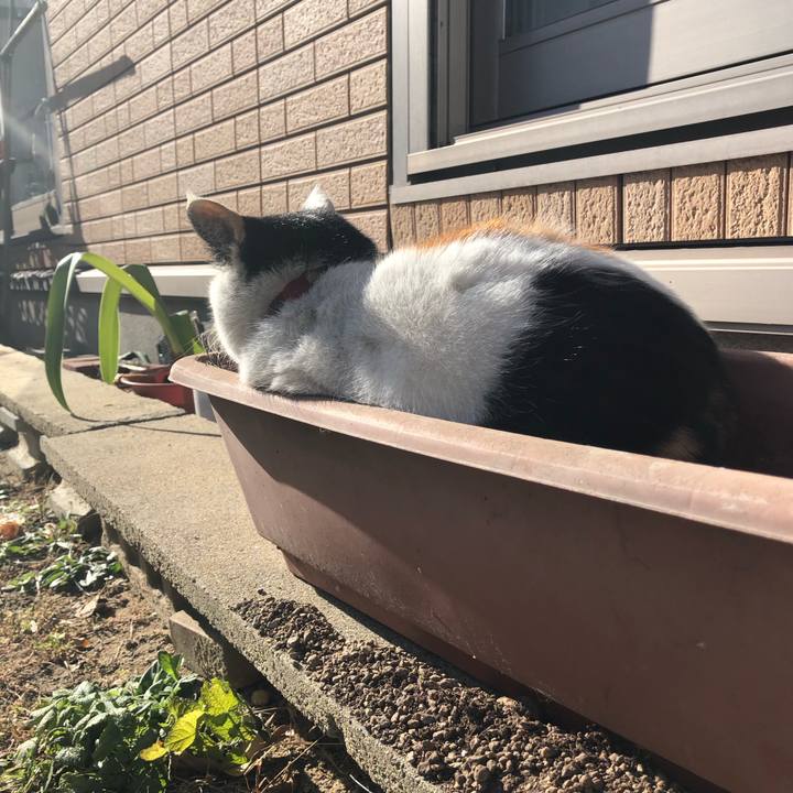 5cbf084c 417f 403e 9a65 912ed355e932 1608374406318