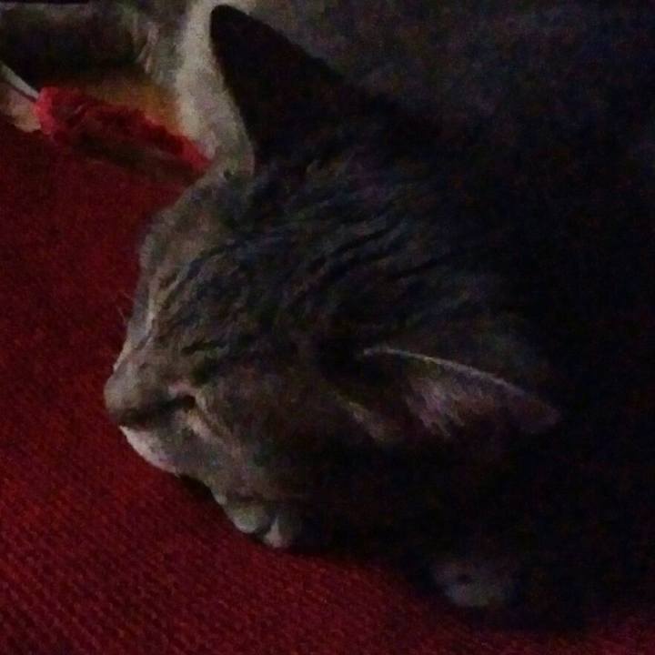 5cbf0a3d acbe 4c5a b757 7a76ebce84db 1596924440316