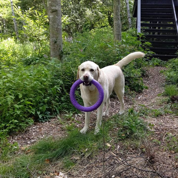 5cbf41f2 3dcd 4c0d b632 f1f4289e0b2b 1691317685480