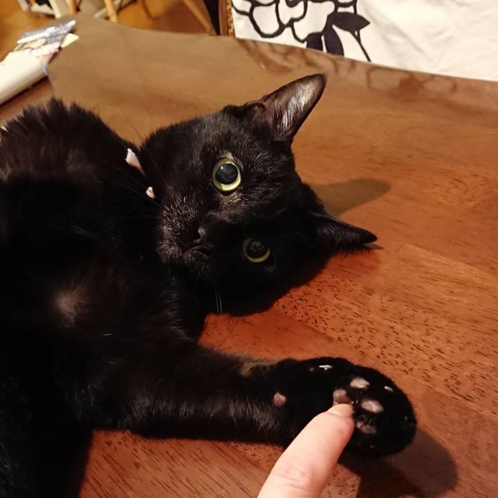 5cbf43fa 5fdf 4f02 9998 c6752f63a4b9 1565099181273