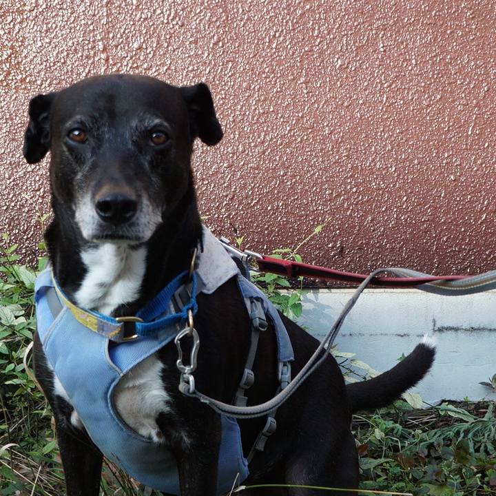 5cbf7342 cd5e 4d76 bb73 f638d19d8474 1758065796900