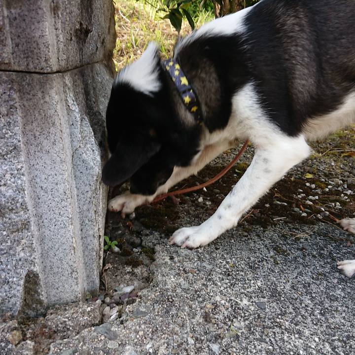 5cbf8068 10f6 41db ac24 b2a977153887 1588943490365