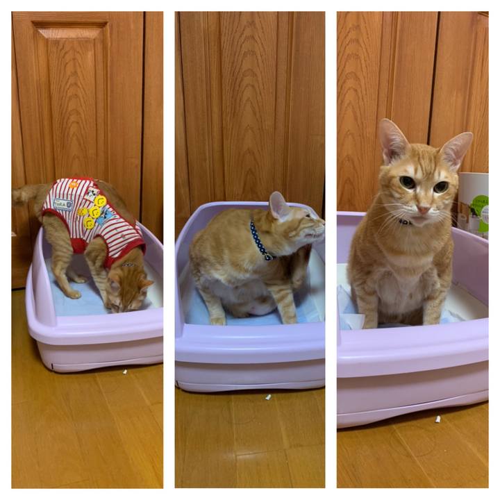 5cbf8f3b 81de 466b 8197 38bf59a802a7 1587764167952