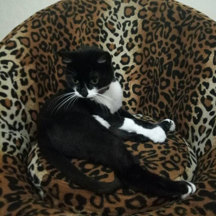 5cbfb400 ac3c 4aa2 a1b6 afb1c6b19cfd 1530641869686