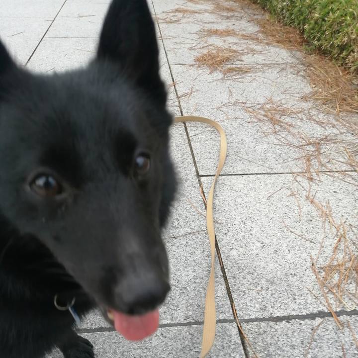 5cc018a8 1724 4025 b68c fff6638c056f 1629582513650