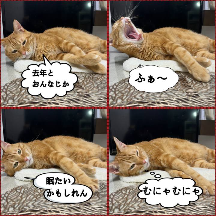 5cc05b4f 3e85 47d8 b2c7 0a106fcbacc0 1635805618214