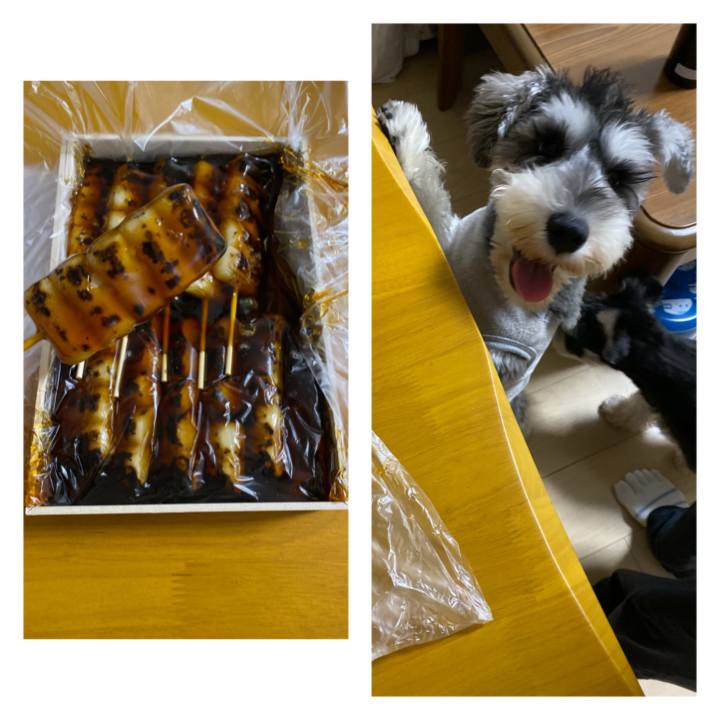 5cc0cece 155b 4c11 95ee b80ebc07a11a 1572630686644