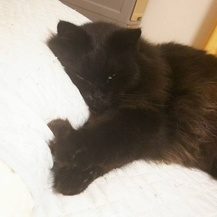 5cc0d2f9 5bc9 47c9 99ef 366cc202f659 1534080271097