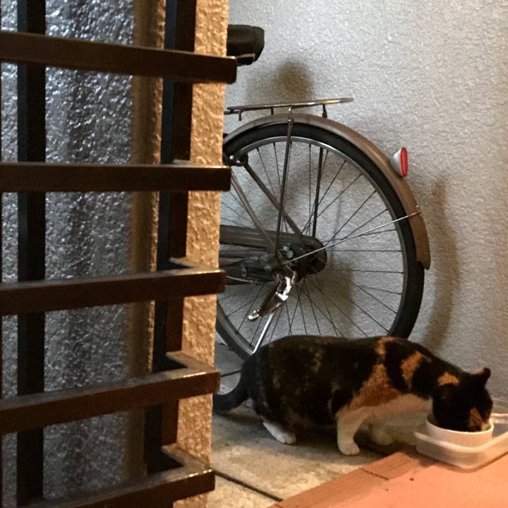 5cc0d487 22a5 4921 b369 7db3b13d1059 1550149032655