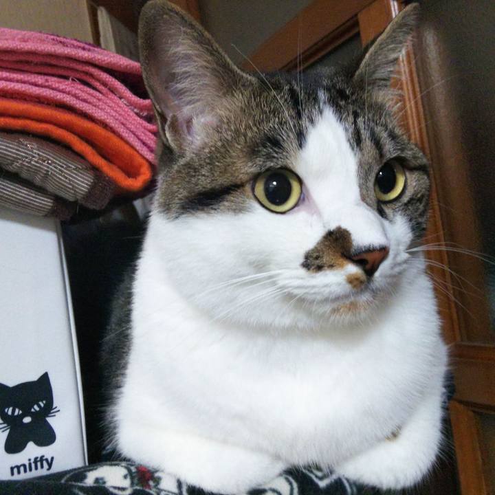 5cc0f45f 11d3 4e61 acc4 f8138bc5caf9 1655674893336