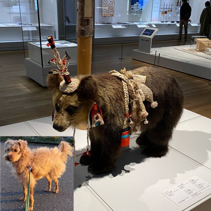 5cc0fbe0 5425 4984 9e09 0ede932fcd21 1650094549911