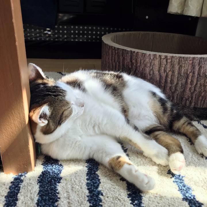 5cc0ff2b 55b0 4ac3 b62f 239f00b9b317 1570775184891