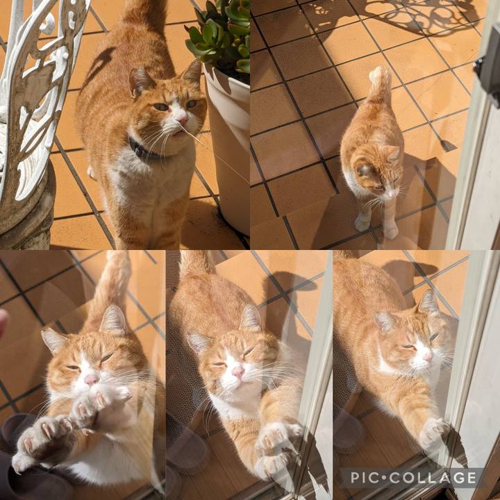 5cc16386 35b8 4006 bd18 cca3dd43a5fb 1708834026487