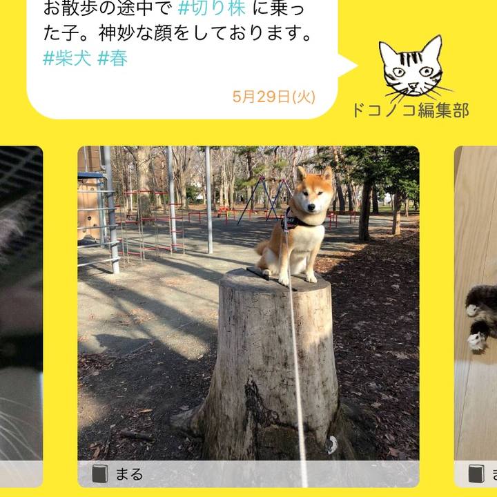 5cc17273 7545 40ed 9973 bf8bfdade977 1527590578537