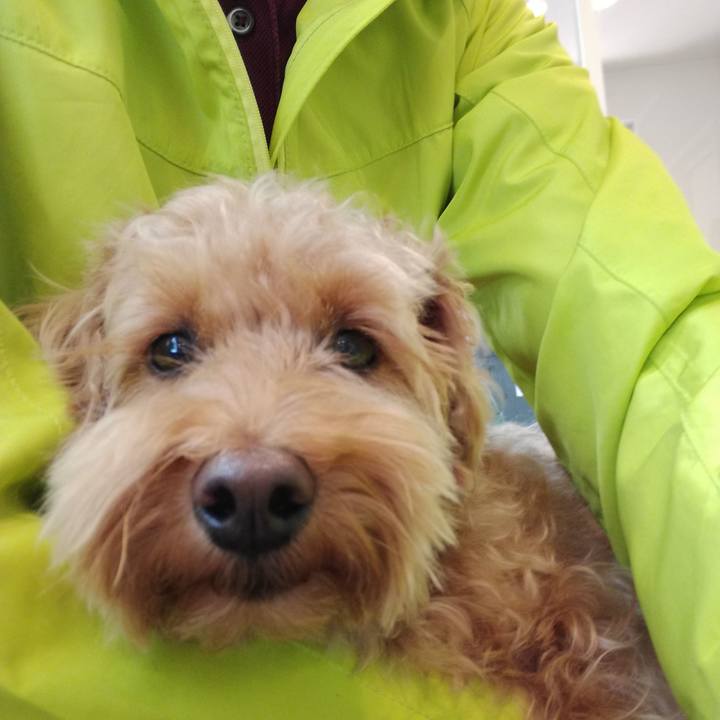 5cc17da1 0311 4185 8cc5 69184a02e2da 1528671110572