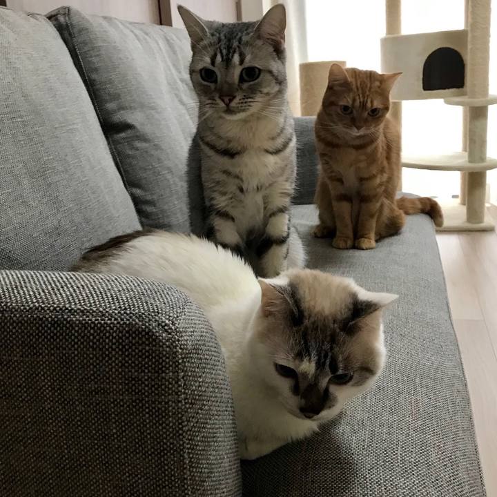 5cc1972c f2e0 47e5 9cae a3cc66e7f9b6 1542509582156