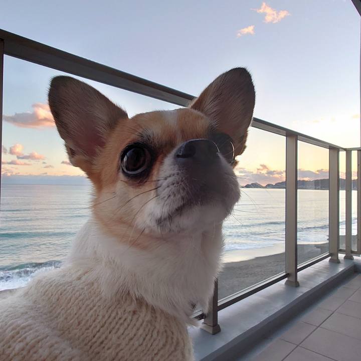 5cc1ca7f 4f81 407f 8489 cf87759fb873 1640677526232