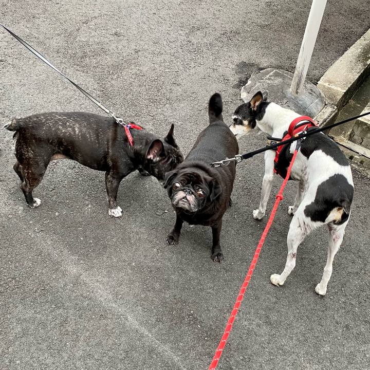 5cc1d06f 3ea3 4443 9ff0 3bdf7671e267 1632783092821