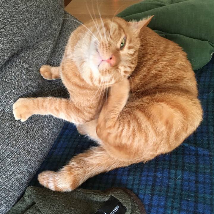 5cc1e9d6 02fa 4752 91d6 2a009dc3f9de 1649246656727