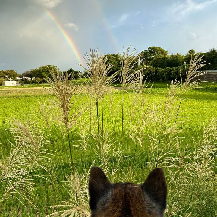 5cc1f833 44b4 4720 8c39 9960c7367d3d 1696631184143