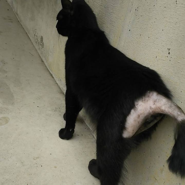 5cc2187f 5191 44dd 9393 a2b74a8caedd 1560226841878