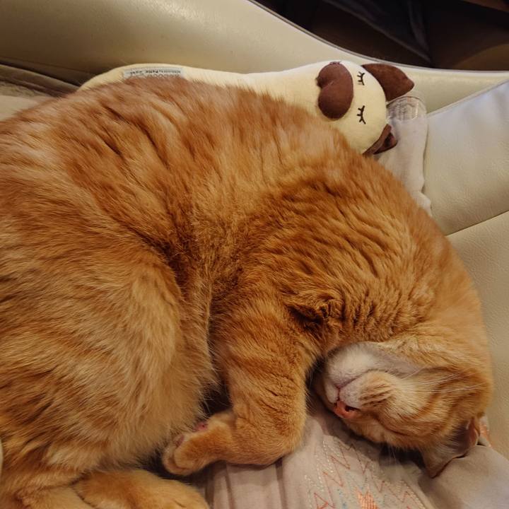 5cc21ac0 aee7 4df9 80e2 6ae9e65cc7bf 1622455694035