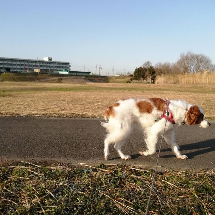 5cc21bd4 6dd9 4b5c 90fe 52125e1fe323 1615437729174