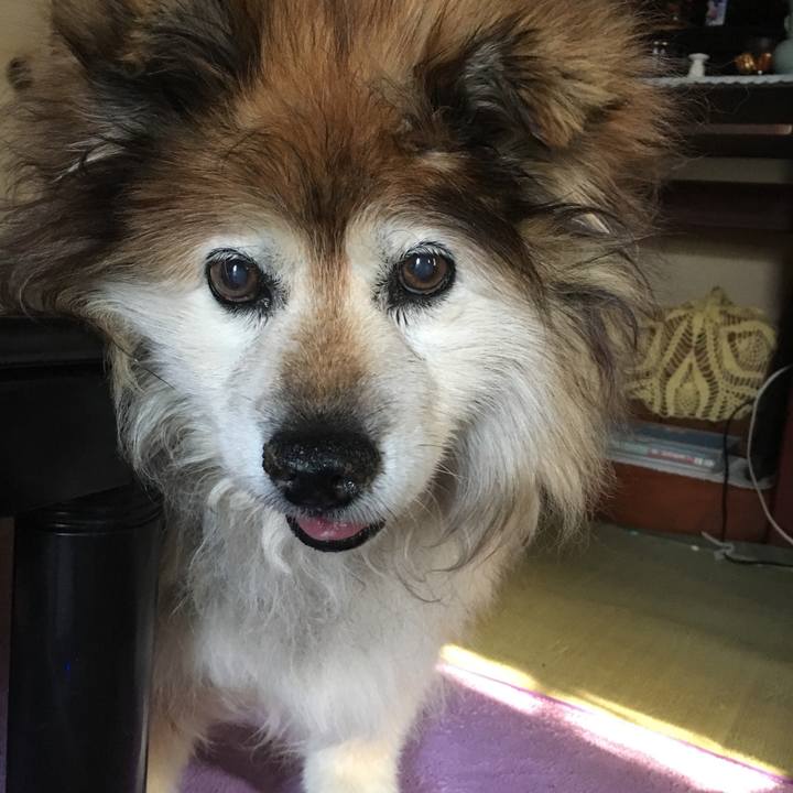 5cc24674 1486 4849 a3d7 936a69a94cdd 1553037135915