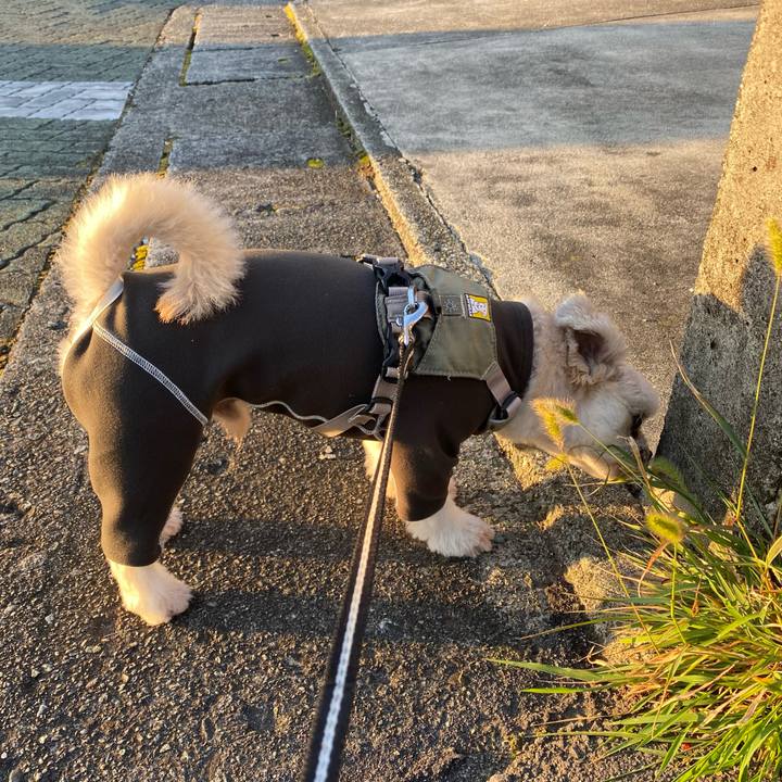 5cc248c7 7b81 4a0f a42e 5c26d4ffe652 1668034059728